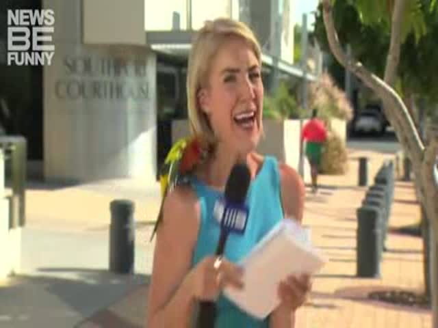 Funny Live News Broadcasts Bloopers Of April