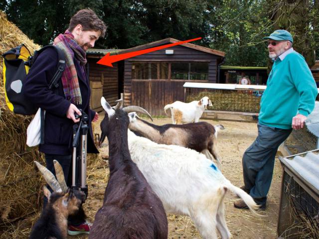 Guy Decides To Take A Holiday From Being A Human And Turns Himself Into A Goat