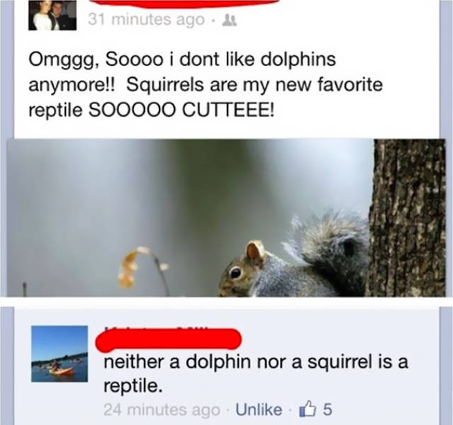 Hilarious Facebook Fails