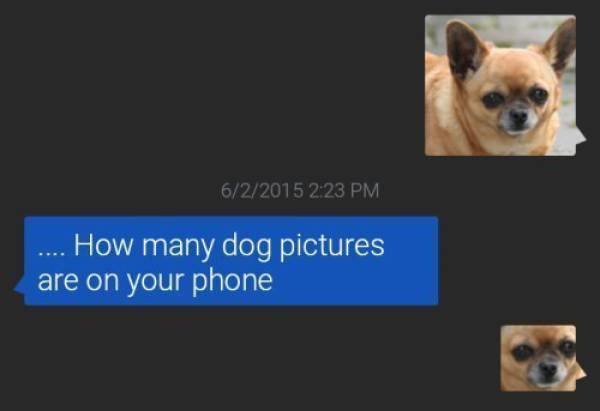 These Texts Will Definitely Crack You Up These Texts Will Definitely Crack You Up