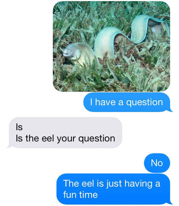 These Texts Will Definitely Crack You Up These Texts Will Definitely Crack You Up