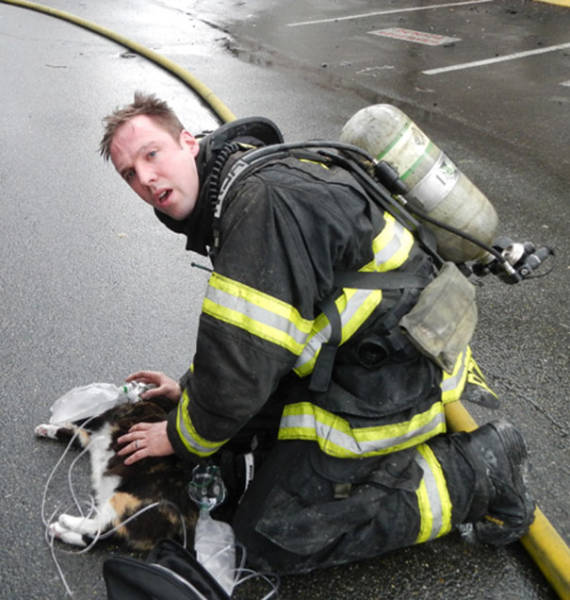 Kudos To Firefighters Who Risk Their Lives To Rescue Animals