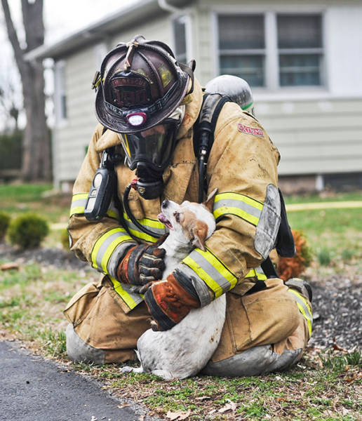 Kudos To Firefighters Who Risk Their Lives To Rescue Animals
