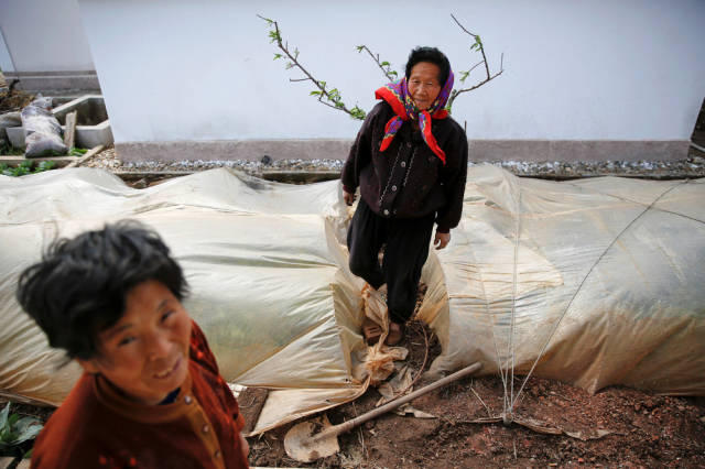 A Fascinating Look at the Daily Life in North Korea