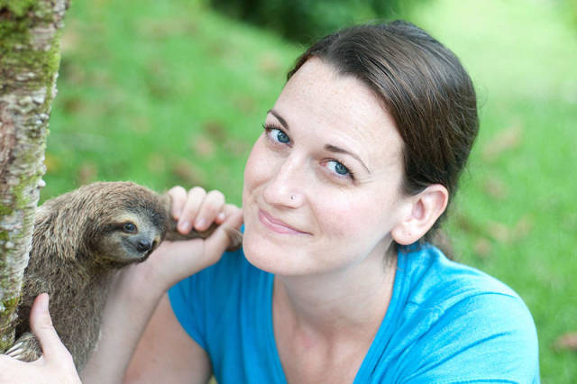 There Is Sloth Institute In Costa Rica That Takes Care Of Orphaned Sloths