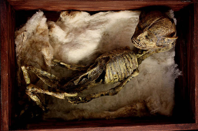 Macabre Art Works Were Discovered In The Basement Of An Old London Townhouse Macabre Art Works Were Discovered In The Basement Of An Old London Townhouse