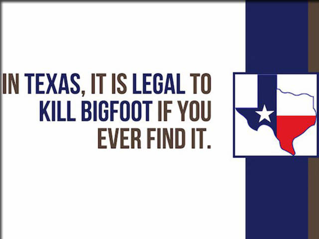 Interesting Facts About The Second Largest State In The USA Texas