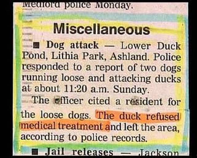 Some Of The Funniest Police Blotters In The History Of Ever