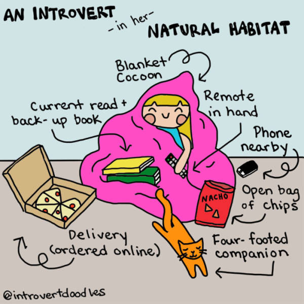 Amusing Comics That Will Help You Better Understand Introverts