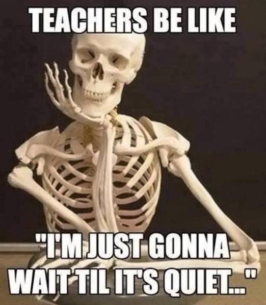 Teachers Will Relate