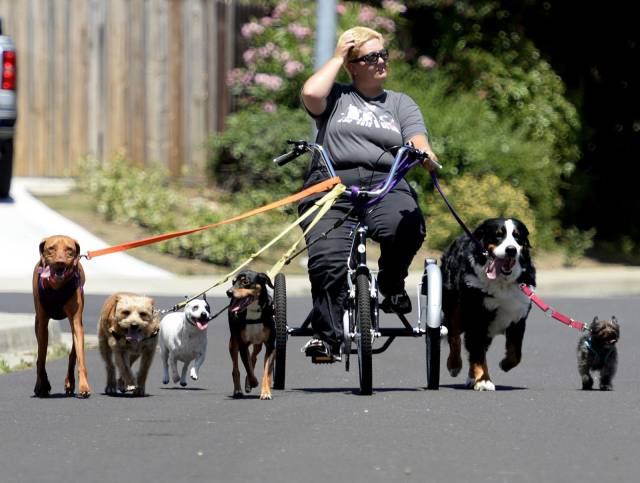 Daily Picdump