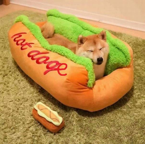 Daily Picdump