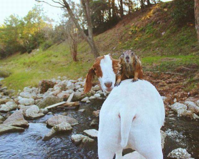 Daily Picdump