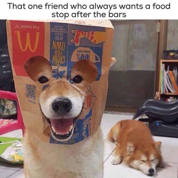 Funny Picdump