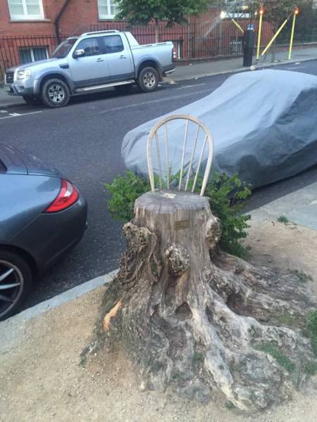 Funny Picdump