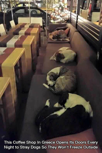 Heartwarming Pictures That Will Restore Your Faith In Humanity Heartwarming Pictures That Will Restore Your Faith In Humanity