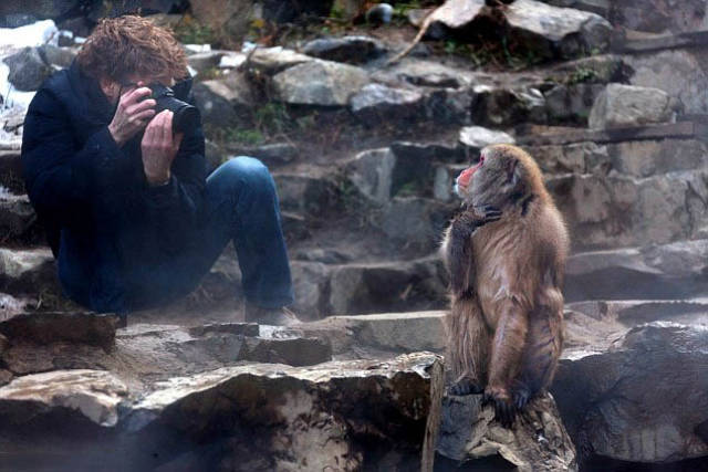 Monkeys Can Be Such Jerks