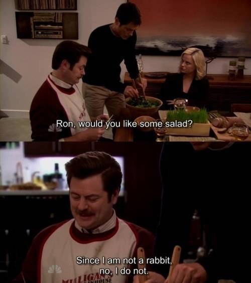 Literally Every Ron Swanson
