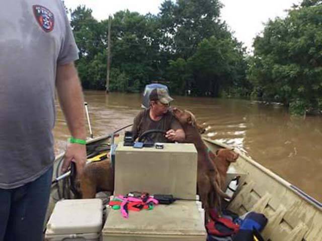 Father And Son Teamed Up To Rescue Abandoned Animals From Flood Waters In Texas