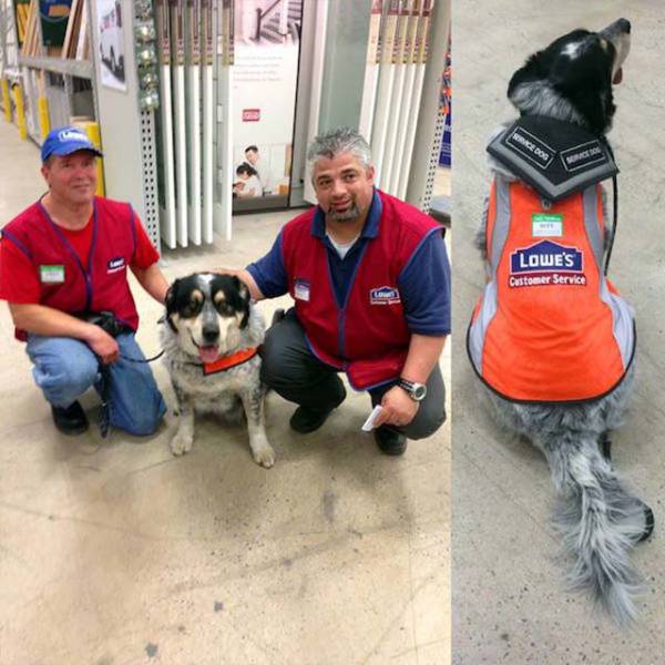 Hardware Store Hires A Man And His Service Dog In Canada