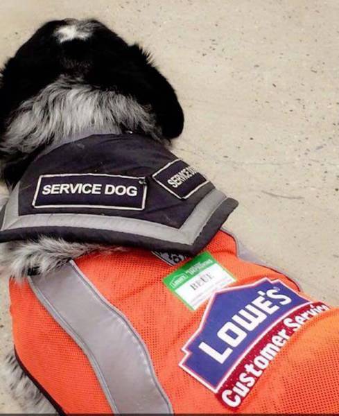 Hardware Store Hires A Man And His Service Dog In Canada