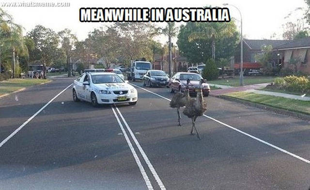 Things Are A Bit Different In Australia
