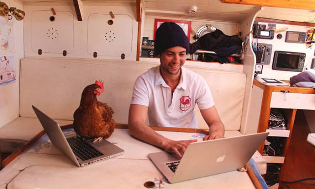 The Fascinating Adventures Of A Frenchman And A Hen Sailing Together Around The World