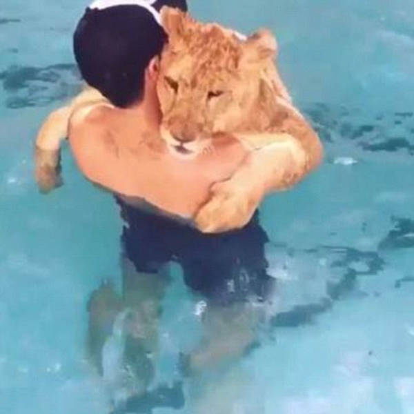 The Filthy Rich Like To Flaunt Pictures Of Their Exotic Pets Online The Filthy Rich Like To Flaunt Pictures Of Their Exotic Pets Online