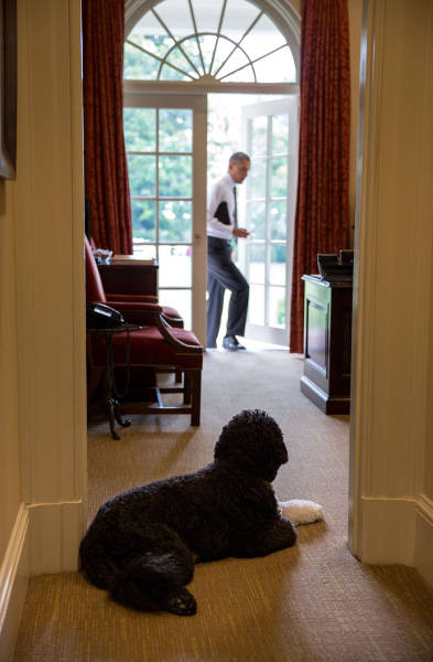 During 8 Years Of Obama’s Presidency His Photographer Took 2 Million Pictures Of Him