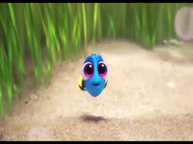 Could Baby Dory Be More Adorable?