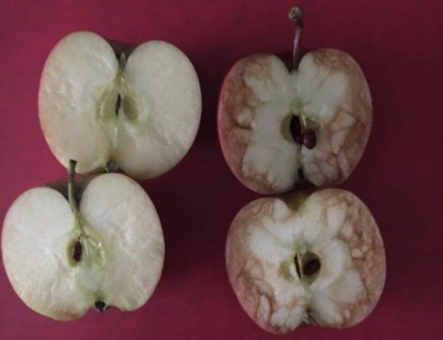 Teacher Demonstrated What Bullying Is By Using Two Apples