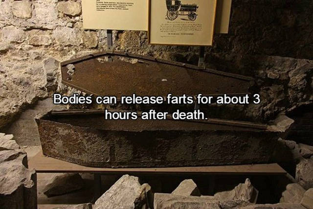 These Interesting Fart Facts Will Blow Your Pants Off