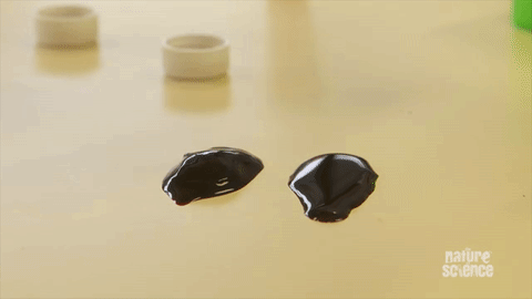 Gifs That Will Wanna Make You Say: Yeah, Science B#tch!