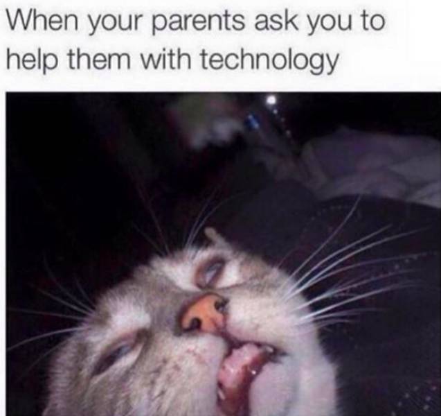 Tweets That Sum Up Family Life Just About Right