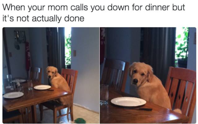 Tweets That Sum Up Family Life Just About Right