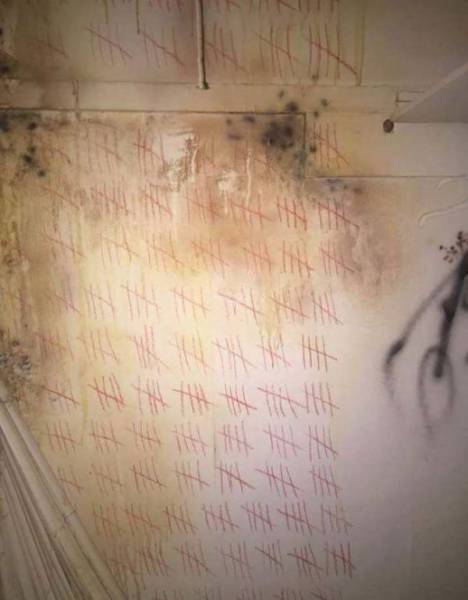 Some Dark And Disturbing Things Might Have Happened In This Abandoned Duplex