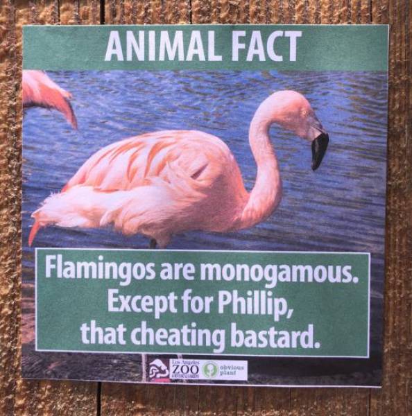 Fake Animal Fact Posters Posted At The Los Angeles Zoo Are Priceless