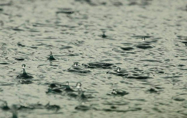 Have You Ever Wondered Why We Love The Smell Of Rain?