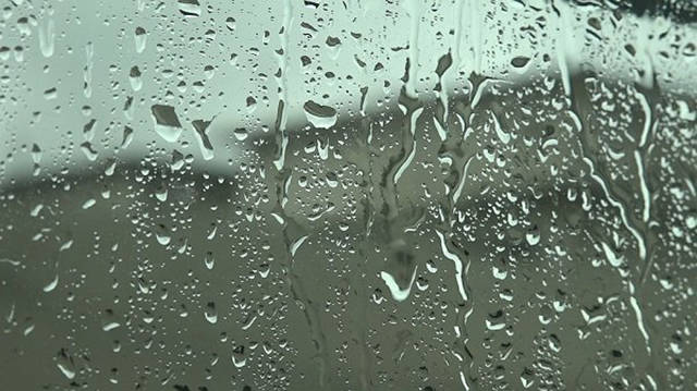Have You Ever Wondered Why We Love The Smell Of Rain?
