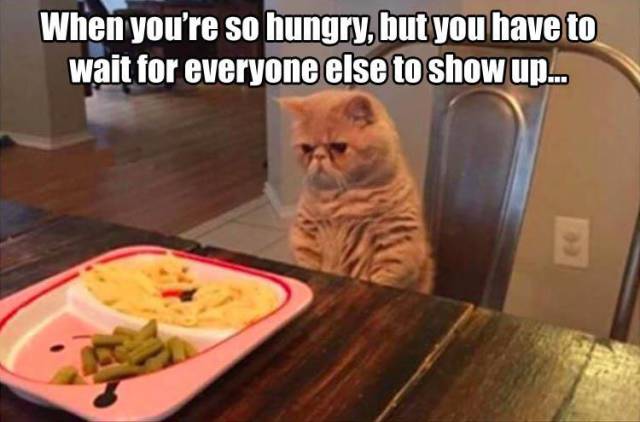 Funny Picdump