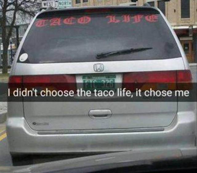 Funny Picdump