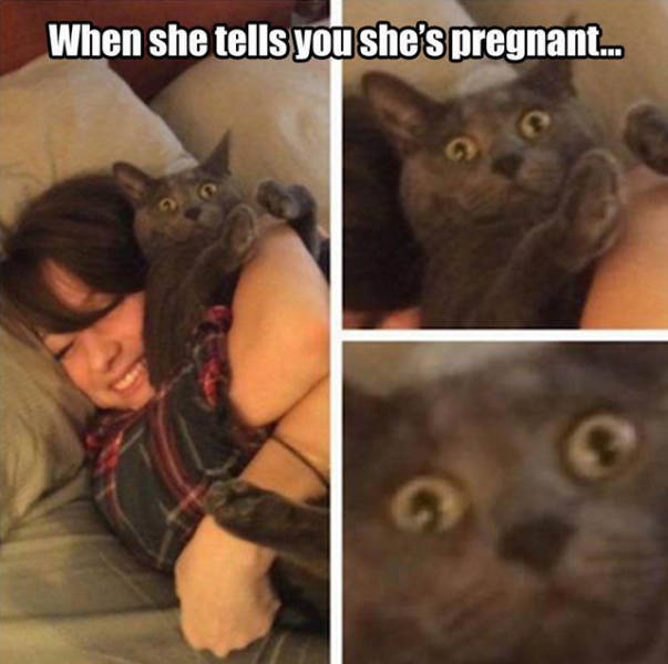 Funny Picdump