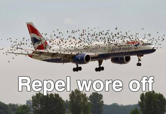 Funny Picdump