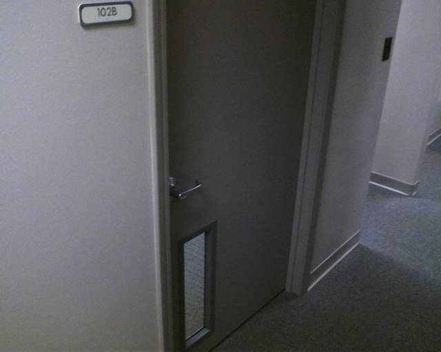 You Had One Job But Failed Miserably