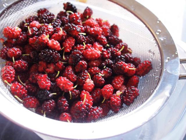 17 Berries Ranked According To Their Nutritious Benefits