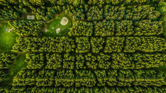 The Most Stunning Drone Photos Of 2016