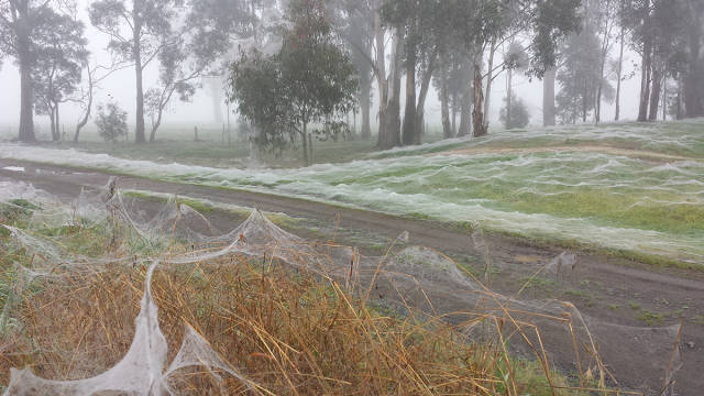 Is It Winter In Australia?