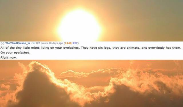 Are You Sure You Want To Know It? Gruesome Reddit Comments On Some Features Of Human Body