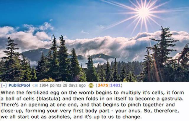 Are You Sure You Want To Know It? Gruesome Reddit Comments On Some Features Of Human Body