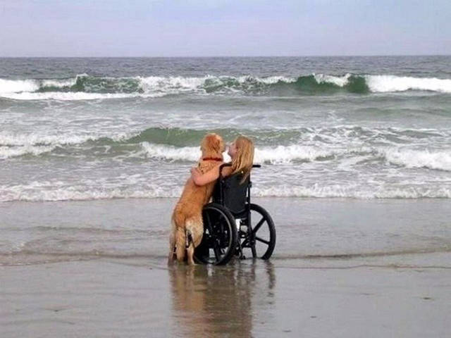 Photos Will Tell You More Than Words Can Photos Will Tell You More Than Words Can